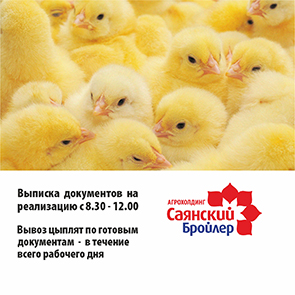 С 2 мая "Саянский Бройлер" начинает реализацию цыплят!